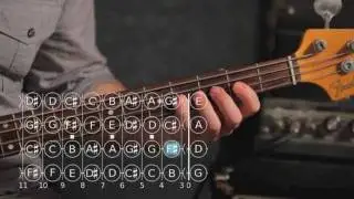 How to Play F ♯ / G Flat Minor Triad | Bass Guitar