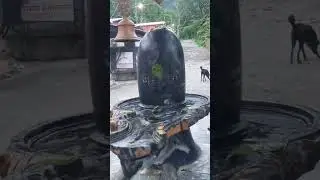 shivji aarti 🙏🏾❣️#bholenath #krunanidhi #kedarnathtemple #kedarnath