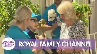 Camilla Barker-Bowles: Duchess Celebrates Battersea Dogs and Cats Home