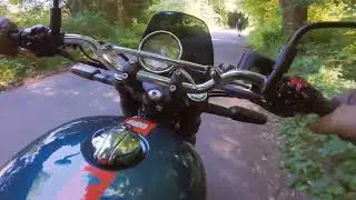 Cimeatic video