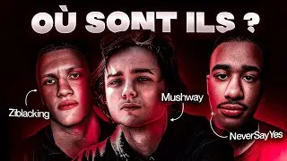 Que sont-ils devenus ? MINECRAFT (Mushway, NeverSayYes, Ziblacking...)