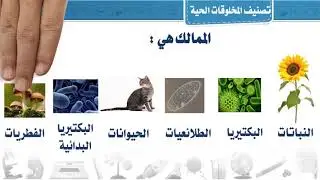 ممالك المخلوقات الحية