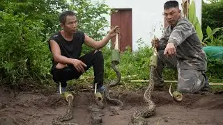 Unique Snake Trap Made From Raw Materials With 120% Efficiency. Clean Up Scary Abandoned House