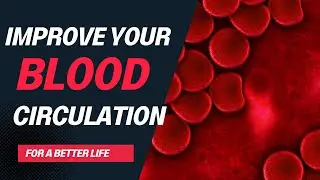 Best food to improve your blood circulation || Healthiest food to increase blood flow