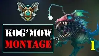 Kog'maw Montage - Best Of Kog'Maw 2017 | League Of Legends Mid