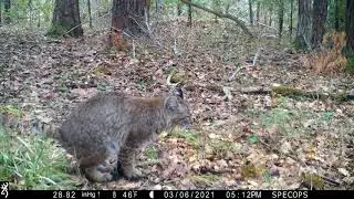 2021 Predator Contest - Francis Eatherington, Oregon