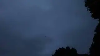 start of bats mating season