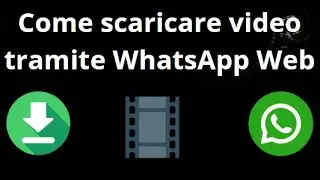 Come scaricare video tramite WhatsApp Web &mdash; Guida completa
