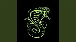 SNAKE MUSIC (FUNK REMIX) (ultra slowed)