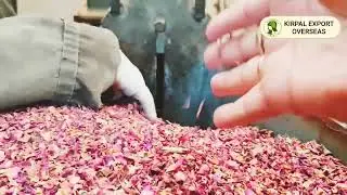 KEO's Best Quality of Rose Petals Powder | Making of Rose Petal Powder