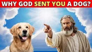 8 Shocking Reasons Why GOD Put a Dog in Your Life