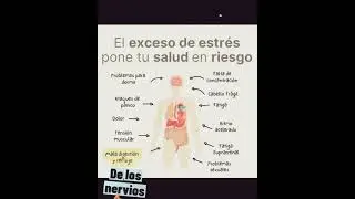 Que hace el exceso de estr&eacute;s en nuestra salud💆 #estres #saludbienestar #cuerpo #consejosdesalud