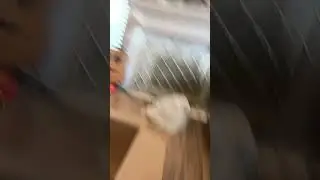 ￼ POV when you fall in the Ocean