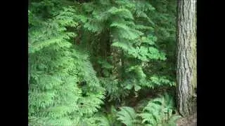 Pacific Northwest Images