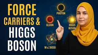 Force Carriers & Higgs Boson Explained | Class 11 Physics | FBISE Chapter 14 | @PhysicsDynamics-y4c