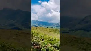 Eravikulam National Park Munnar #munnar #kerala #travel #india #shorts