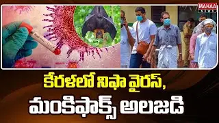 కేరళలో నిఫా వైరస్, మంకిఫాక్స్ అలజడి Nipha virus, monkeypox in Kerala | Mahaa News