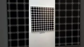 Museum of illusion NC