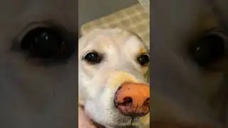 Murphy's Happy Highlight reel
