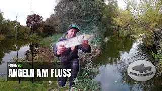 Folge 95: ANGELN AM FLUSS / Rapfen, D&ouml;bel und Waller angeln 