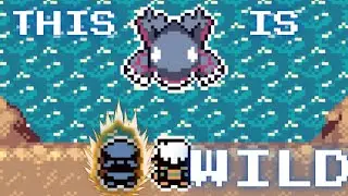 OUR FIRST SHINY Encounter!  Pokemon Emerald Seaglass EP 20 | AndroidPAW Plays