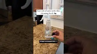 Cleaning hack to get rid of ants