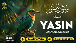 Calming Surah Yasin for Deep Sleep, Depression & Mental Health ✦ Surah Yaseen Tilawah