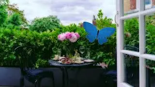 Beautiful Instrumental Music on the patio with colorful butterflies , flying around pink flowers