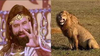 Ram Rahim and Lion Funny Video