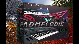 PLUGIN MARIMBA DX7 (BANK KONTAKT)