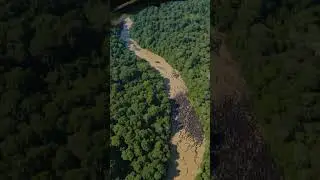 Thousands of Giant Snakes Found in Amazon? Leaked Drone Footage Shocks Experts!