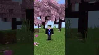Do You Know these Add-ons? #minecraft #minecraftaddon  #shoer