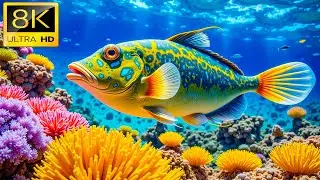 Ocean 8K - The Ultimate 8K Aquarium Voyage, Sea Animals & Coral Reefs with Relaxing Music