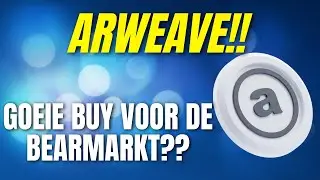 ARWEAVE maakt elke BULLRUN een X10!