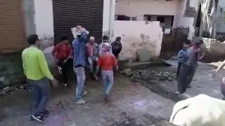 Holly WhatsApp video