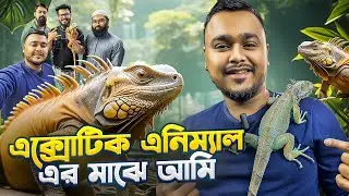 এক্সোটিক এনিম্যাল এর মাঝে আমি | Exotic Animals in Bangladesh | @iguanamanbd3146