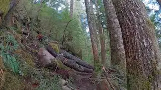 Lake 22 - Washington State Hike