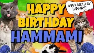 Happy Birthday Hammami! Crazy Cats Say Happy Birthday Hammami (Very Funny)