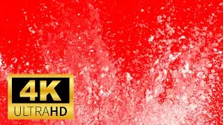 Free 4K Super Slow Motion White Color Powder Explosion Red Background Video
