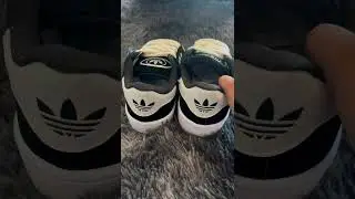 🔥 Adidas Campus en Sr Michi | Tenis Reynosa Tamps con estilo cl&aacute;sico 👟