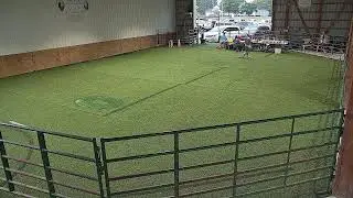 2025 Hancock County Jr Fair Cross Breed and Dairy Feeder Show