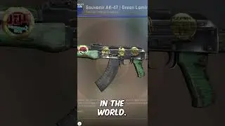 The Weirdest CSGO Collector is Back...
