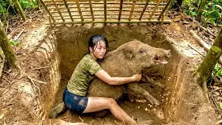 Tense Survival: Tracking Wild Boars for 30 Days, Digging Traps, and Unexpected Results