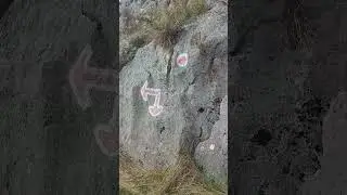 nu filma AICI! :)) | Cheile Valisoarei #33 #shorts #natura #naturelover