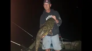 Flathead Fishing the Spawn on the Wolf River