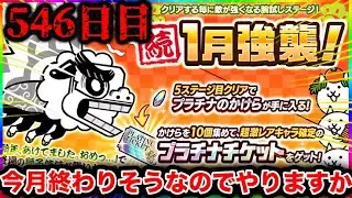 【546日目】完全に忘れてた。1日10分しかプレイ出来ないにゃんこ大戦争