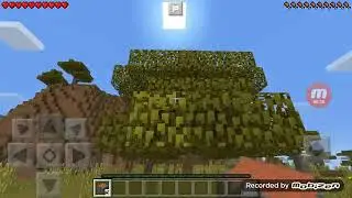 Minecraft part 1with Danny clusta