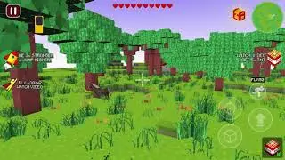 how to play multiplayer in world craft dream island