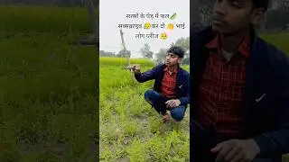 🌱🍃 farming 🌱 reel 🌻🌎 #farming #desisong #khetibadi ##villagelife #viral #instareels #kisan #song