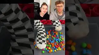 Human Mass vs Various Foods